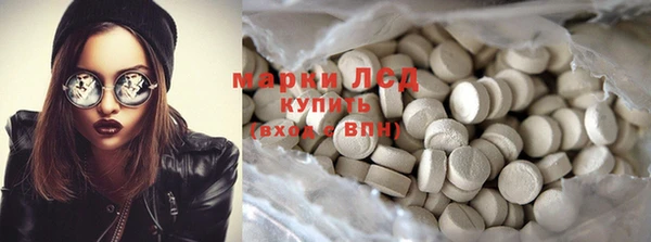 индика Нефтекумск