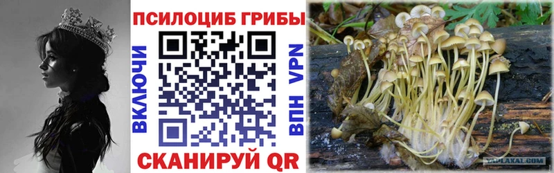 Галлюциногенные грибы ЛСД Пошехонье